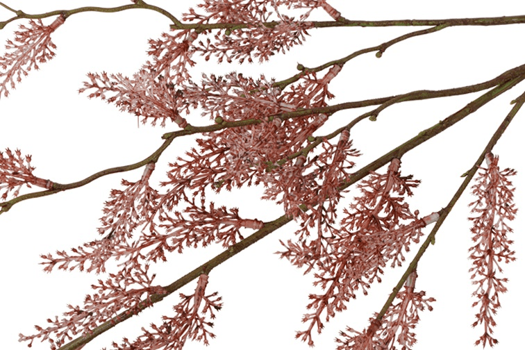FQ_18275_1abf7d.png_E7566AF909CF240826090043FA48E86946548E24 18275_1abf7d