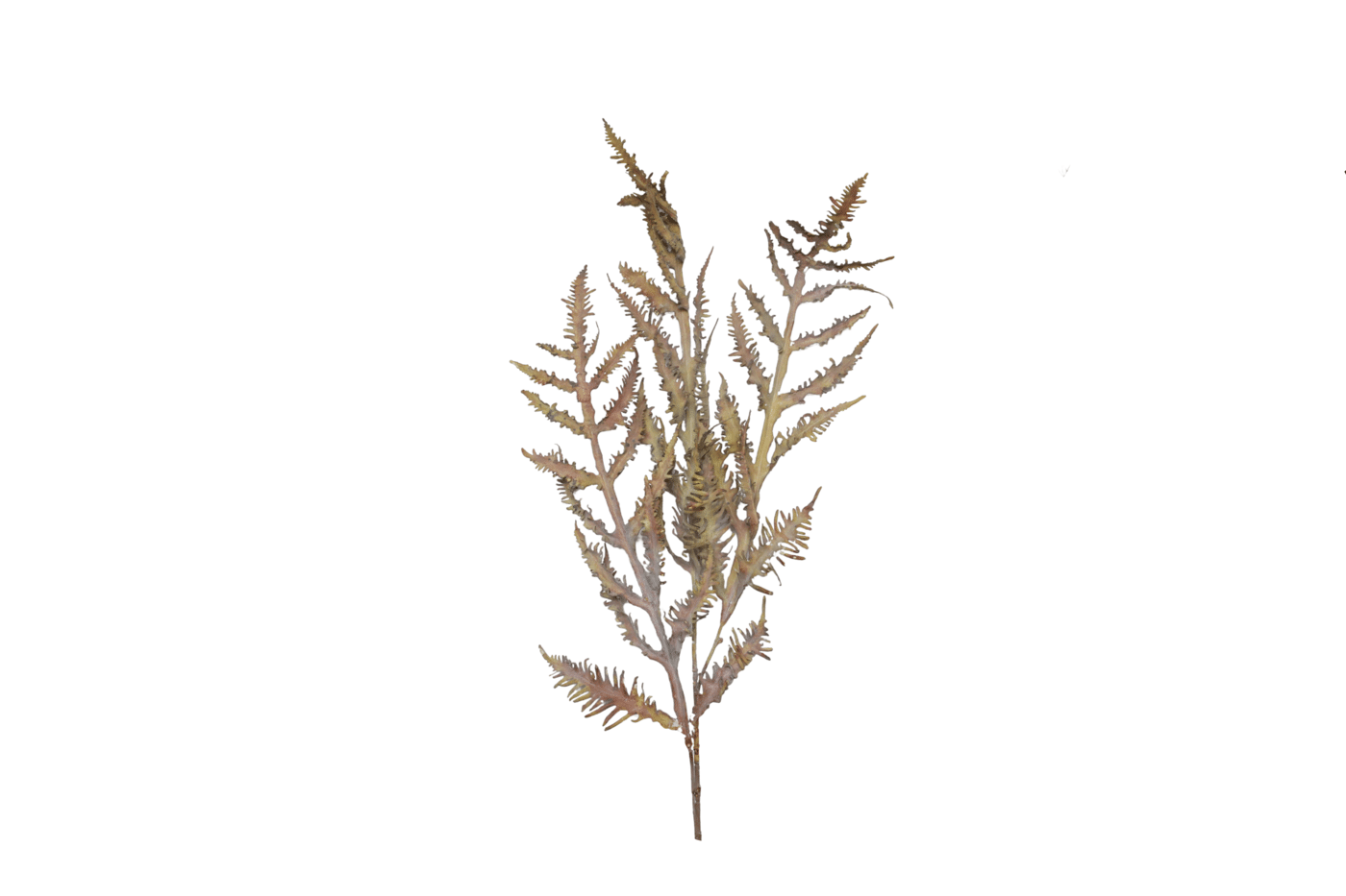 FQ_18730_af2369.png_3F22275EAE5F254A458D755A2ED7D17DC2065D29 18730_af2369